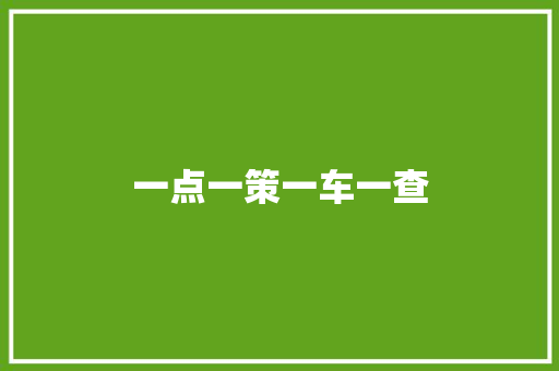一点一策一车一查