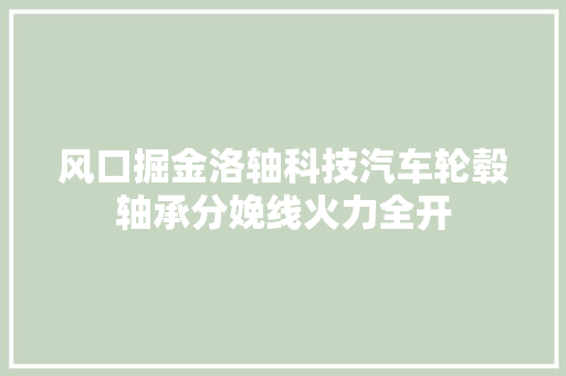 风口掘金洛轴科技汽车轮毂轴承分娩线火力全开