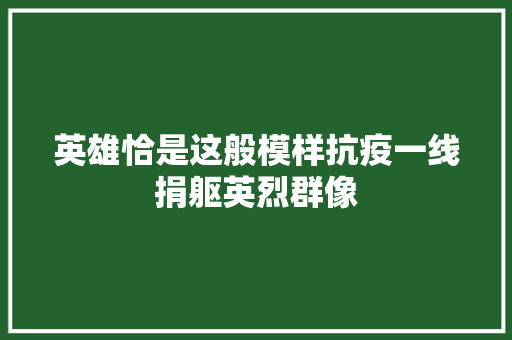 英雄恰是这般模样抗疫一线捐躯英烈群像