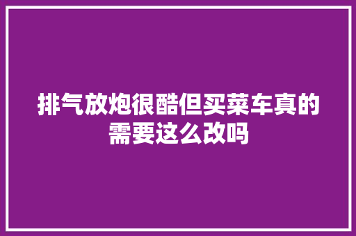 排气放炮很酷但买菜车真的需要这么改吗