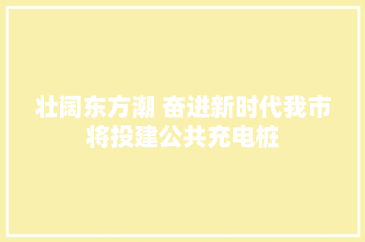 壮阔东方潮 奋进新时代我市将投建公共充电桩