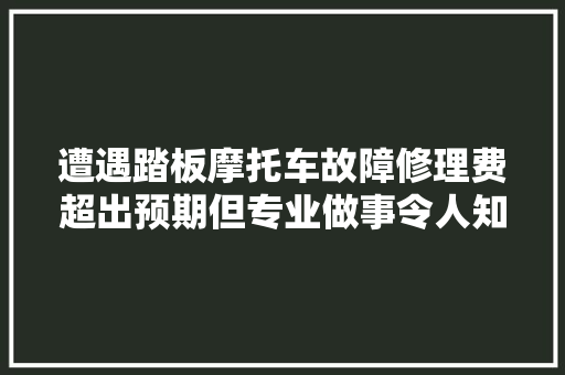 遭遇踏板摩托车故障修理费超出预期但专业做事令人知足