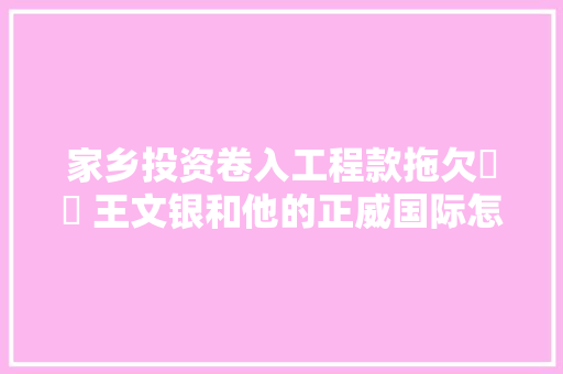 家乡投资卷入工程款拖欠轇轕 王文银和他的正威国际怎么了