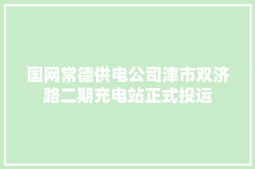 国网常德供电公司津市双济路二期充电站正式投运