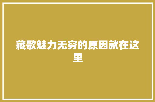 藏歌魅力无穷的原因就在这里