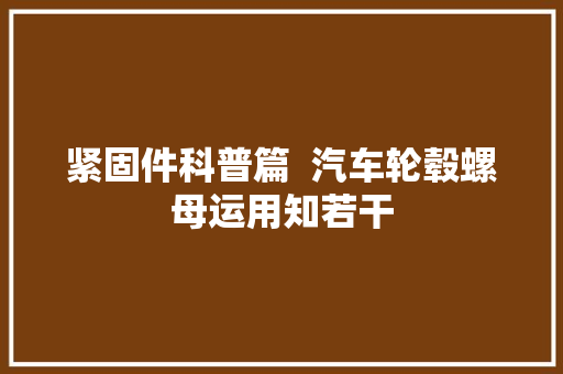 紧固件科普篇  汽车轮毂螺母运用知若干