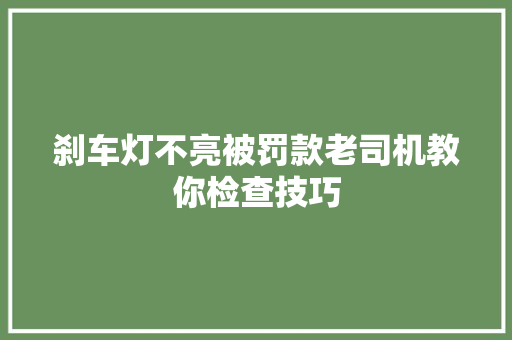 刹车灯不亮被罚款老司机教你检查技巧