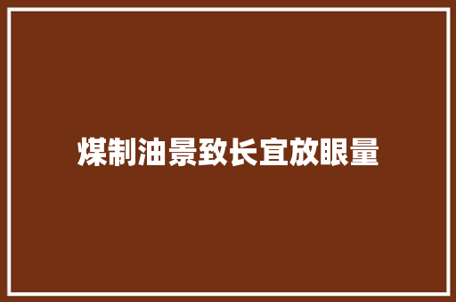 煤制油景致长宜放眼量