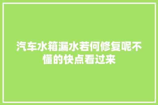 汽车水箱漏水若何修复呢不懂的快点看过来
