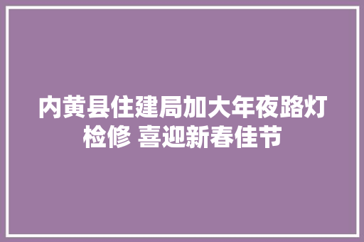 内黄县住建局加大年夜路灯检修 喜迎新春佳节