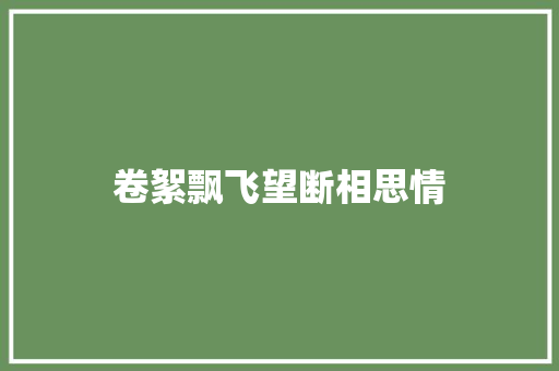 卷絮飘飞望断相思情