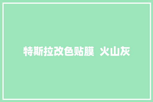 特斯拉改色贴膜  火山灰