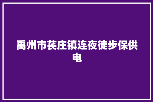 禹州市苌庄镇连夜徒步保供电