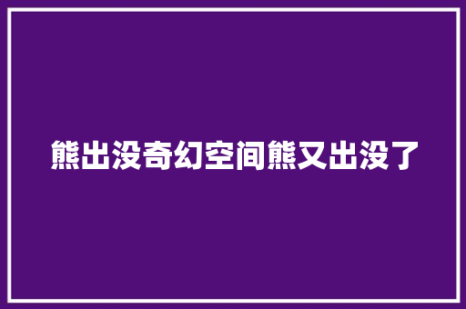 熊出没奇幻空间熊又出没了