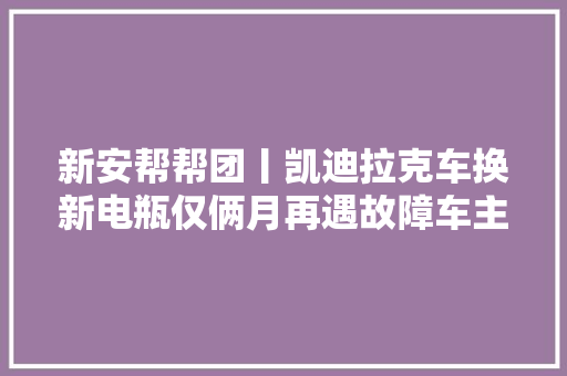 新安帮帮团丨凯迪拉克车换新电瓶仅俩月再遇故障车主创造电瓶破个洞 汽车知识