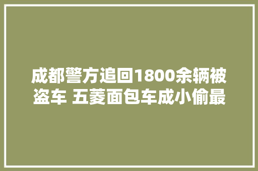 成都警方追回1800余辆被盗车 五菱面包车成小偷最爱
