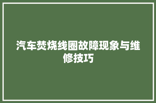 汽车焚烧线圈故障现象与维修技巧