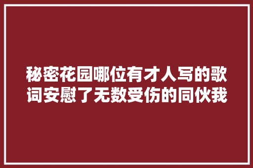 秘密花园哪位有才人写的歌词安慰了无数受伤的同伙我只想在你身边陪着你