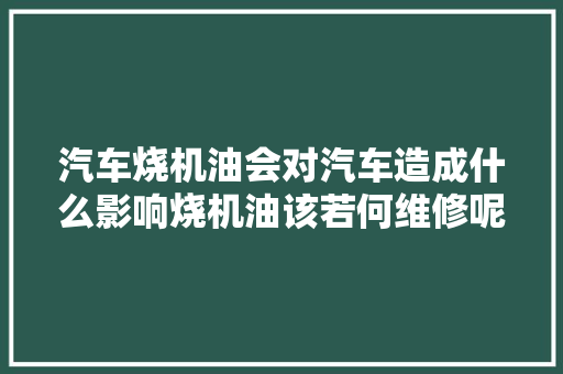 汽车烧机油会对汽车造成什么影响烧机油该若何维修呢