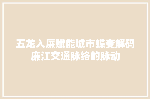 五龙入廉赋能城市蝶变解码廉江交通脉络的脉动