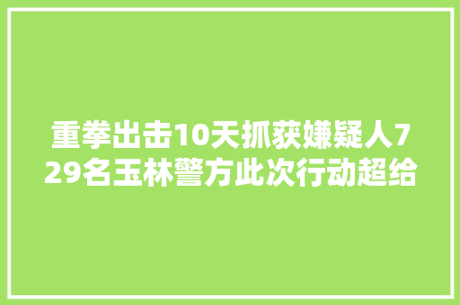 重拳出击10天抓获嫌疑人729名玉林警方此次行动超给力