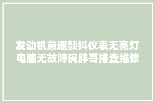 发动机怠速颤抖仪表无亮灯电脑无故障码胖哥排查维修分享
