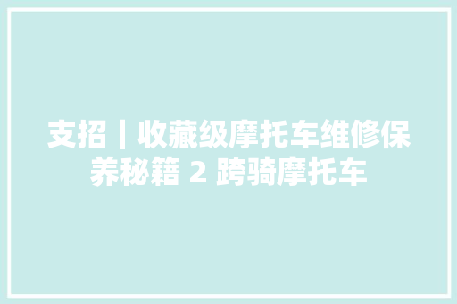 支招｜收藏级摩托车维修保养秘籍 2 跨骑摩托车