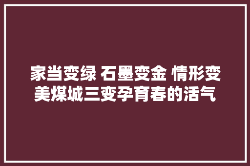 家当变绿 石墨变金 情形变美煤城三变孕育春的活气