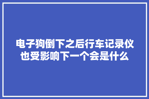 电子狗倒下之后行车记录仪也受影响下一个会是什么