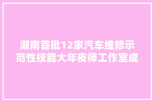 湖南首批12家汽车维修示范性技能大年夜师工作室成立