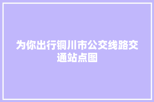 为你出行铜川市公交线路交通站点图