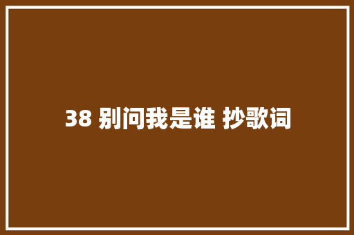 38 别问我是谁 抄歌词
