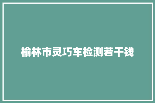 榆林市灵巧车检测若干钱