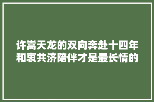 许嵩天龙的双向奔赴十四年和衷共济陪伴才是最长情的告白