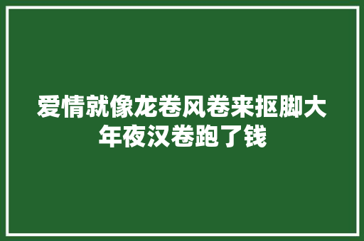 爱情就像龙卷风卷来抠脚大年夜汉卷跑了钱