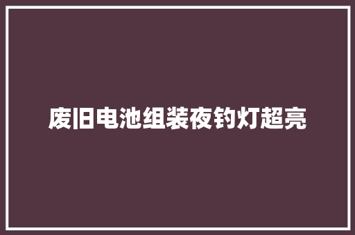 废旧电池组装夜钓灯超亮