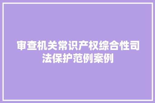 审查机关常识产权综合性司法保护范例案例