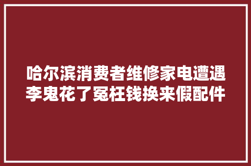 哈尔滨消费者维修家电遭遇李鬼花了冤枉钱换来假配件