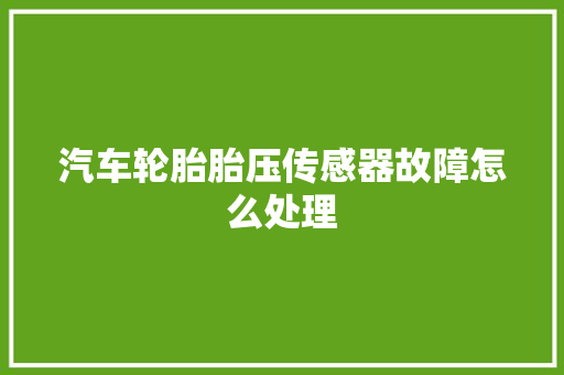 汽车轮胎胎压传感器故障怎么处理 汽车知识