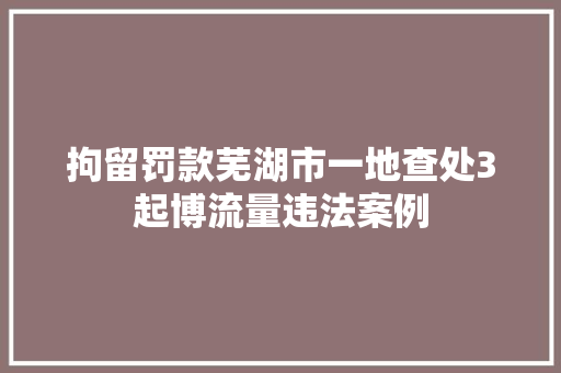 拘留罚款芜湖市一地查处3起博流量违法案例