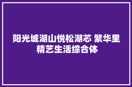 阳光城湖山悦松湖芯 繁华里 精艺生活综合体