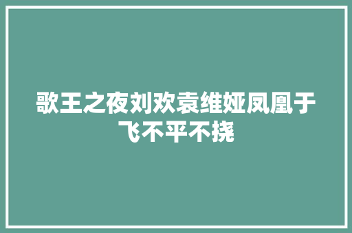 歌王之夜刘欢袁维娅凤凰于飞不平不挠