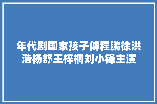 年代剧国家孩子傅程鹏徐洪浩杨舒王梓桐刘小锋主演