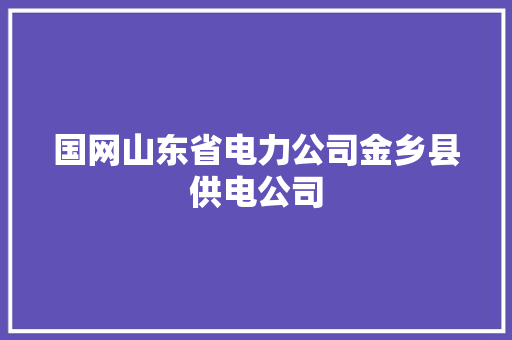 国网山东省电力公司金乡县供电公司