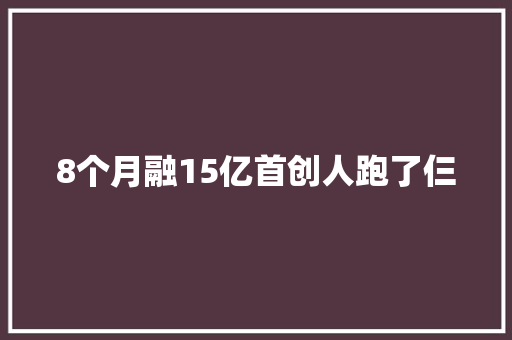 8个月融15亿首创人跑了仨