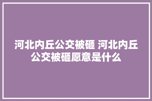 河北内丘公交被砸 河北内丘公交被砸愿意是什么