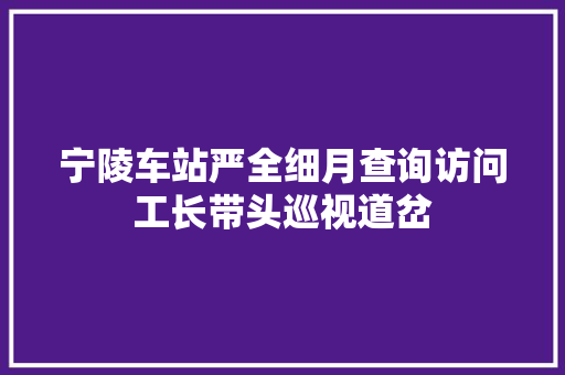 宁陵车站严全细月查询访问工长带头巡视道岔