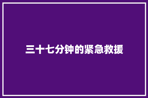 三十七分钟的紧急救援