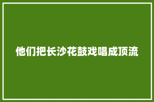 他们把长沙花鼓戏唱成顶流