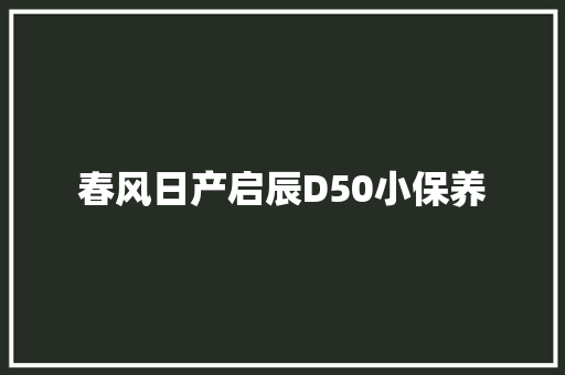 春风日产启辰D50小保养